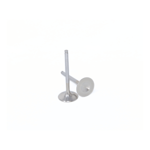 Oversize Exhaust Valve