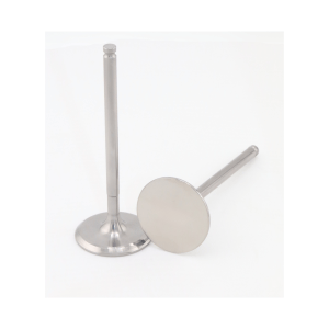 2027 Yamaha YZ250F - Dynamic Racing Titanium Intake Valves